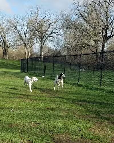 Monticello Dog Park - Monticello, MN