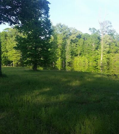 Atwood Water Park - Monticello, MS