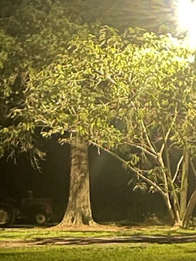 Back Home RV Park Monticello, MS - Monticello, MS