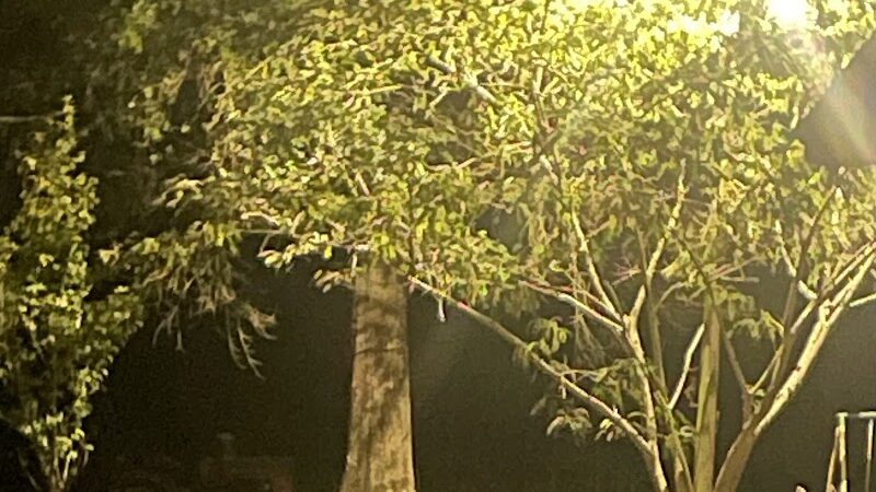 Back Home RV Park Monticello, MS - Monticello, MS