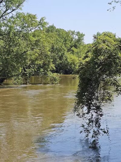 Montrose Barber Park - Montrose,