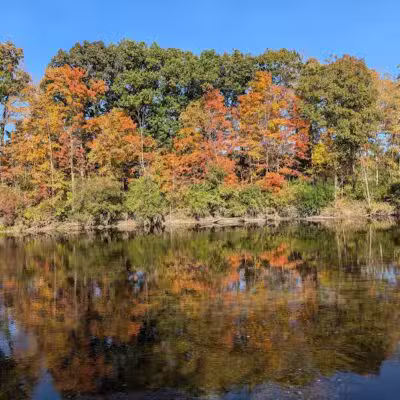 Montrose Barber Park - Montrose,