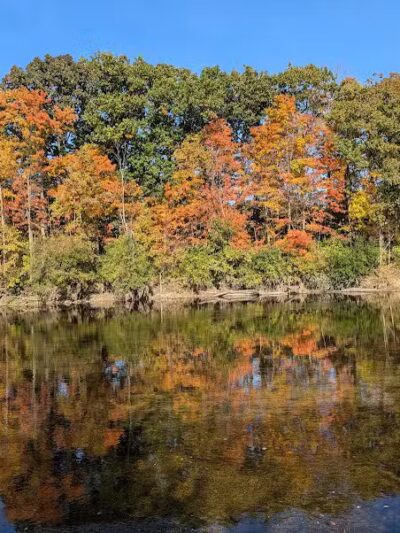 Montrose Barber Park - Montrose,