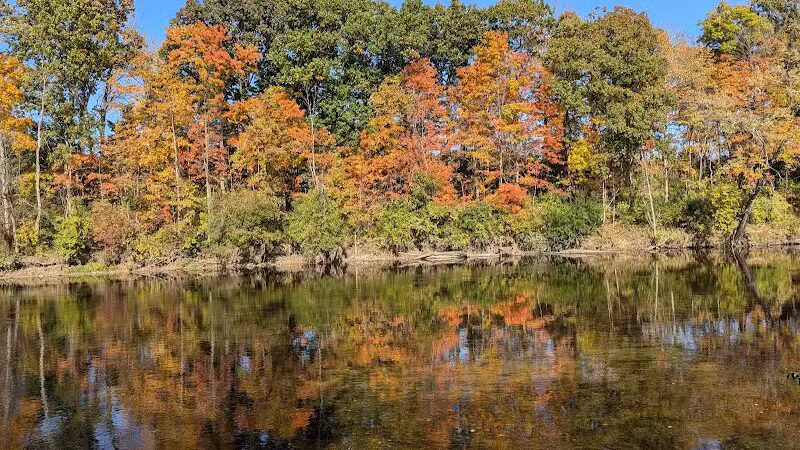 Montrose Barber Park - Montrose,