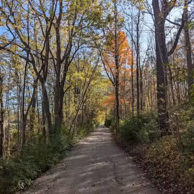 Montrose Barber Park - Montrose,