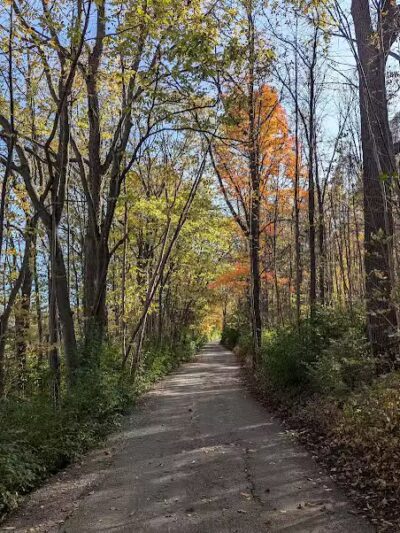 Montrose Barber Park - Montrose,