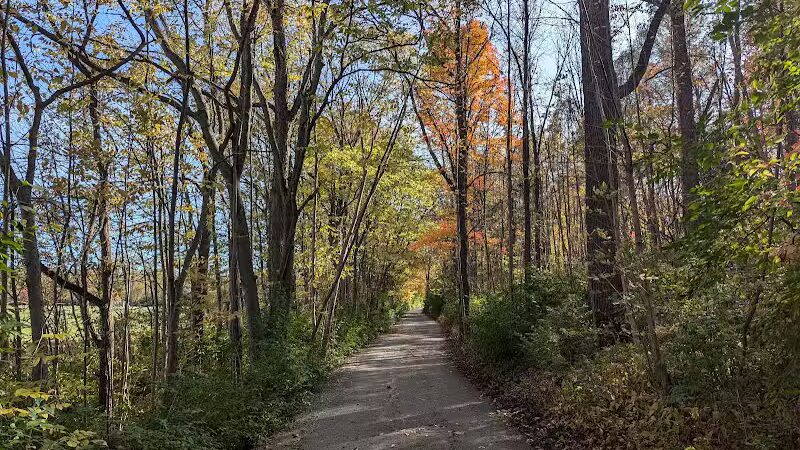 Montrose Barber Park - Montrose,
