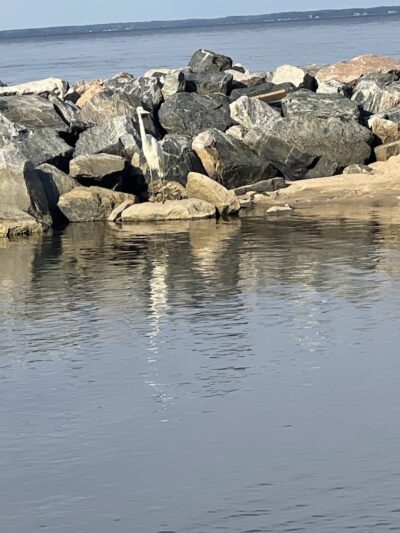 Beach Park - Montross, VA