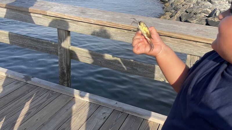 Beach Park - Montross, VA