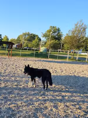 Montville Dog Park - Montville, NJ
