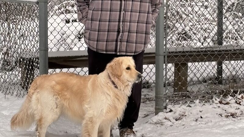 East Haddam Dog Park - Moodus, CT