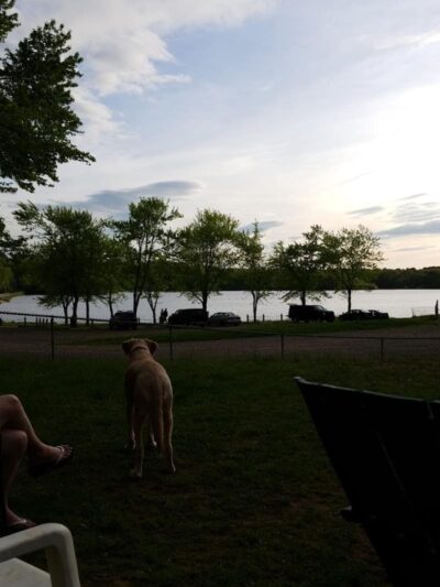 East Haddam Dog Park - Moodus, CT