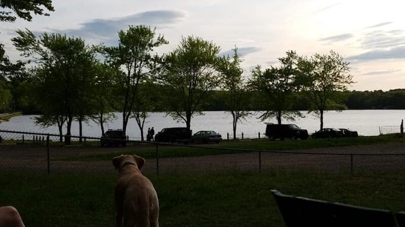 East Haddam Dog Park - Moodus, CT