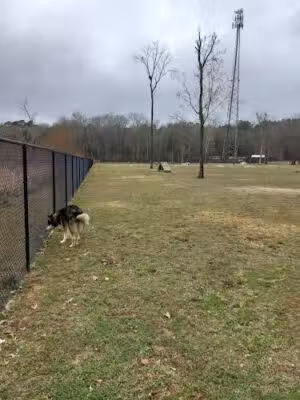 Moody Dog Park - Moody, AL