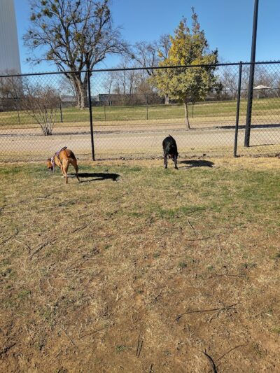 Happy Tails Dog Park - Moore, OK