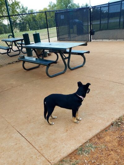 Happy Tails Dog Park - Moore, OK