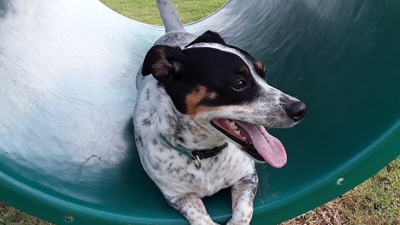 Happy Tails Dog Park - Moore, OK