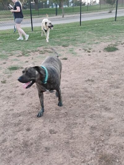 Happy Tails Dog Park - Moore, OK