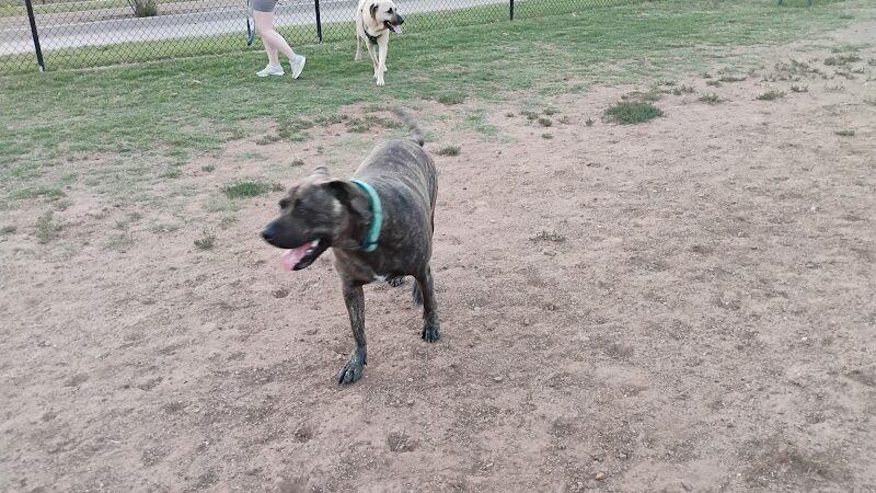 Happy Tails Dog Park - Moore, OK