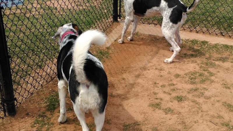 Happy Tails Dog Park - Moore, OK