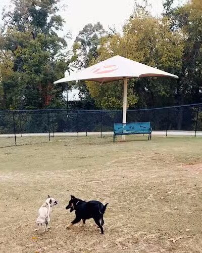 Happy Tails Dog Park - Moore, OK