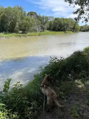 River Oaks Dog Park - Moorhead, MN