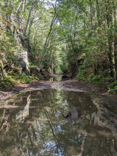 Moosup Valley State Park Trail - Moosup, CT