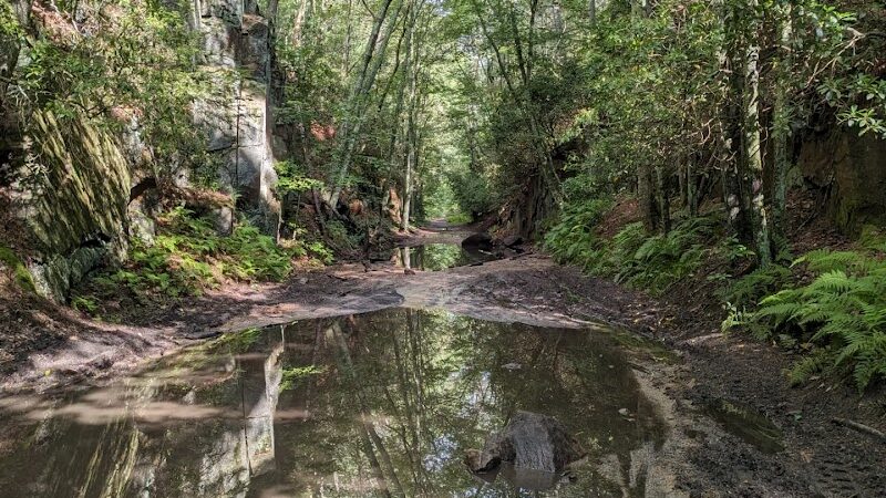 Moosup Valley State Park Trail - Moosup, CT