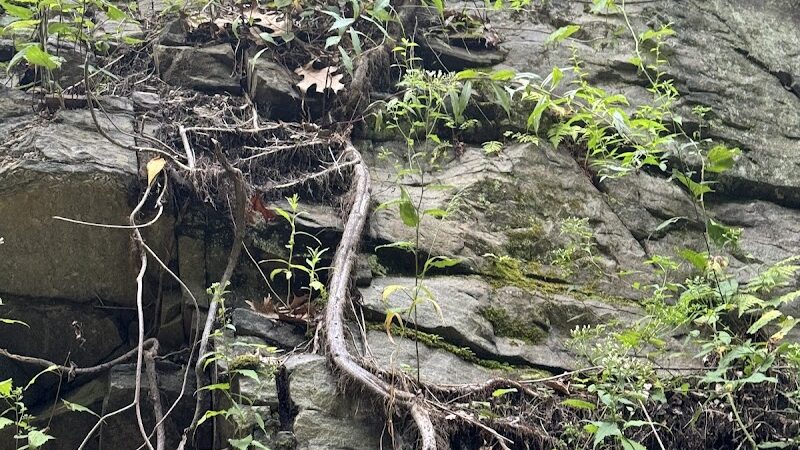 Moosup Valley State Park Trail - Moosup, CT