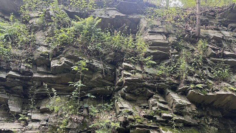 Moosup Valley State Park Trail - Moosup, CT