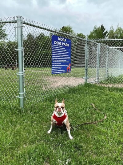 Mora Dog Park - Mora, MN