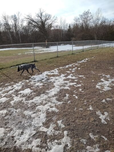 Mora Dog Park - Mora, MN