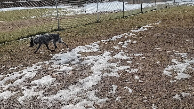 Mora Dog Park - Mora, MN