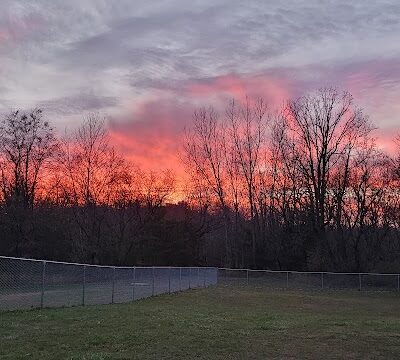 Mora Dog Park - Mora, MN