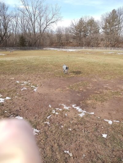 Mora Dog Park - Mora, MN