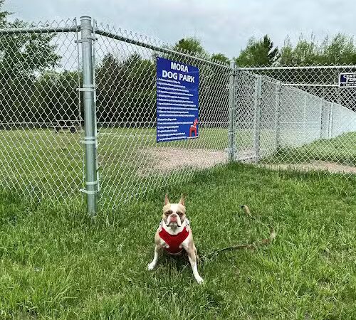 Mora Dog Park - Mora, MN