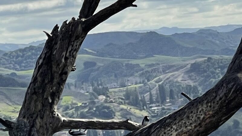 Mulholland Ridge Open Space - Moraga, CA