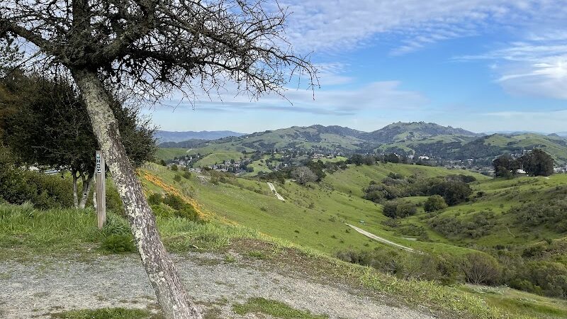 Mulholland Ridge Open Space - Moraga, CA