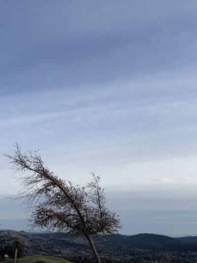 Mulholland Ridge Open Space - Moraga, CA