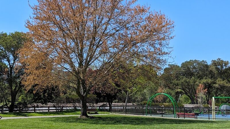 Moraga Commons Park - Moraga, CA
