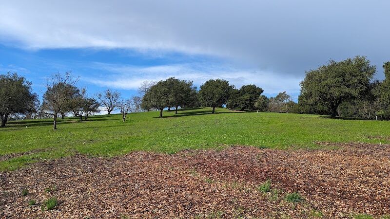 Moraga Commons Park - Moraga, CA