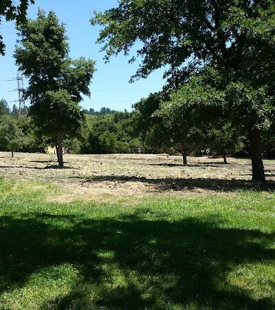Moraga Commons Park - Moraga, CA