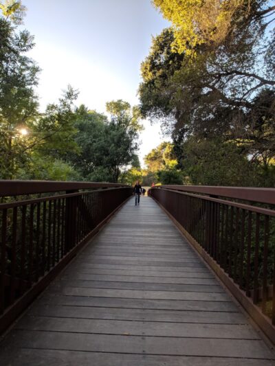 Moraga Commons Park - Moraga, CA