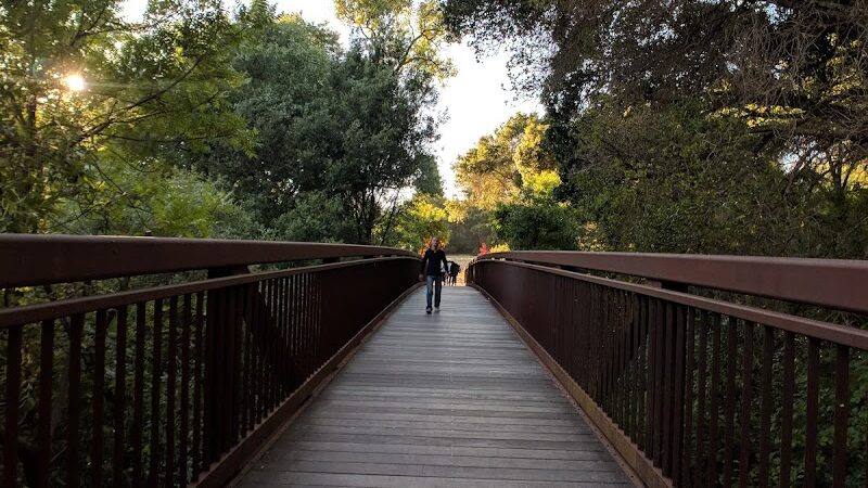 Moraga Commons Park - Moraga, CA
