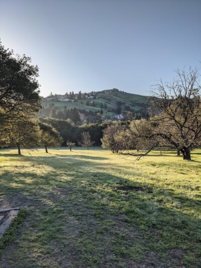 Moraga Commons Park - Moraga, CA