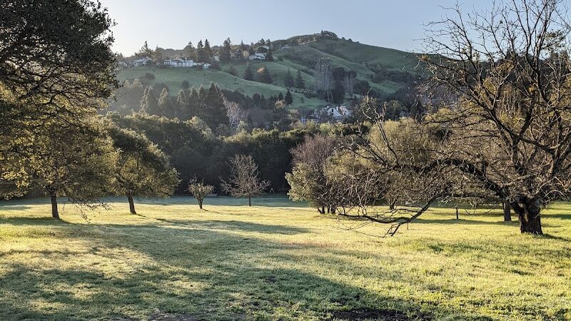 Moraga Commons Park - Moraga, CA