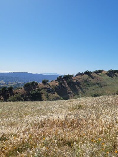 Rancho Laguna Park - Moraga, CA
