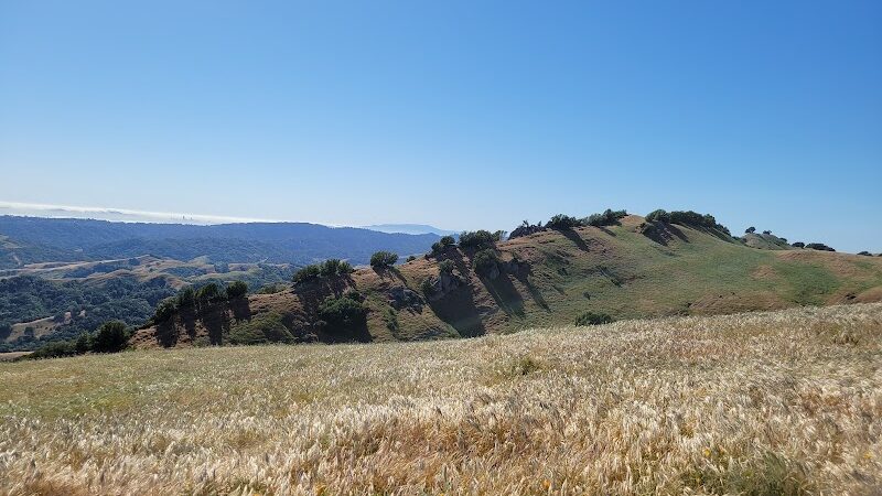 Rancho Laguna Park - Moraga, CA