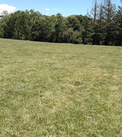 Rancho Laguna Park - Moraga, CA