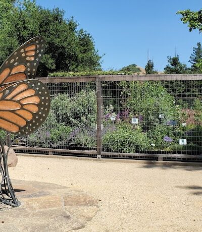 Rancho Laguna Park - Moraga, CA